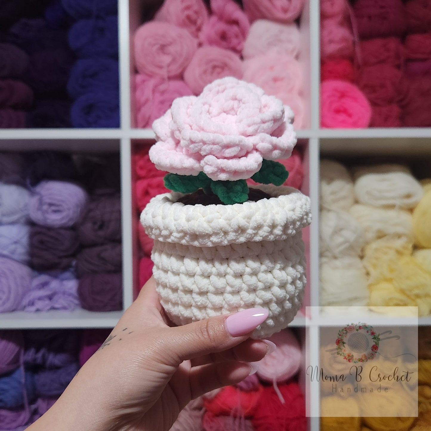 Potted Flower - Rose