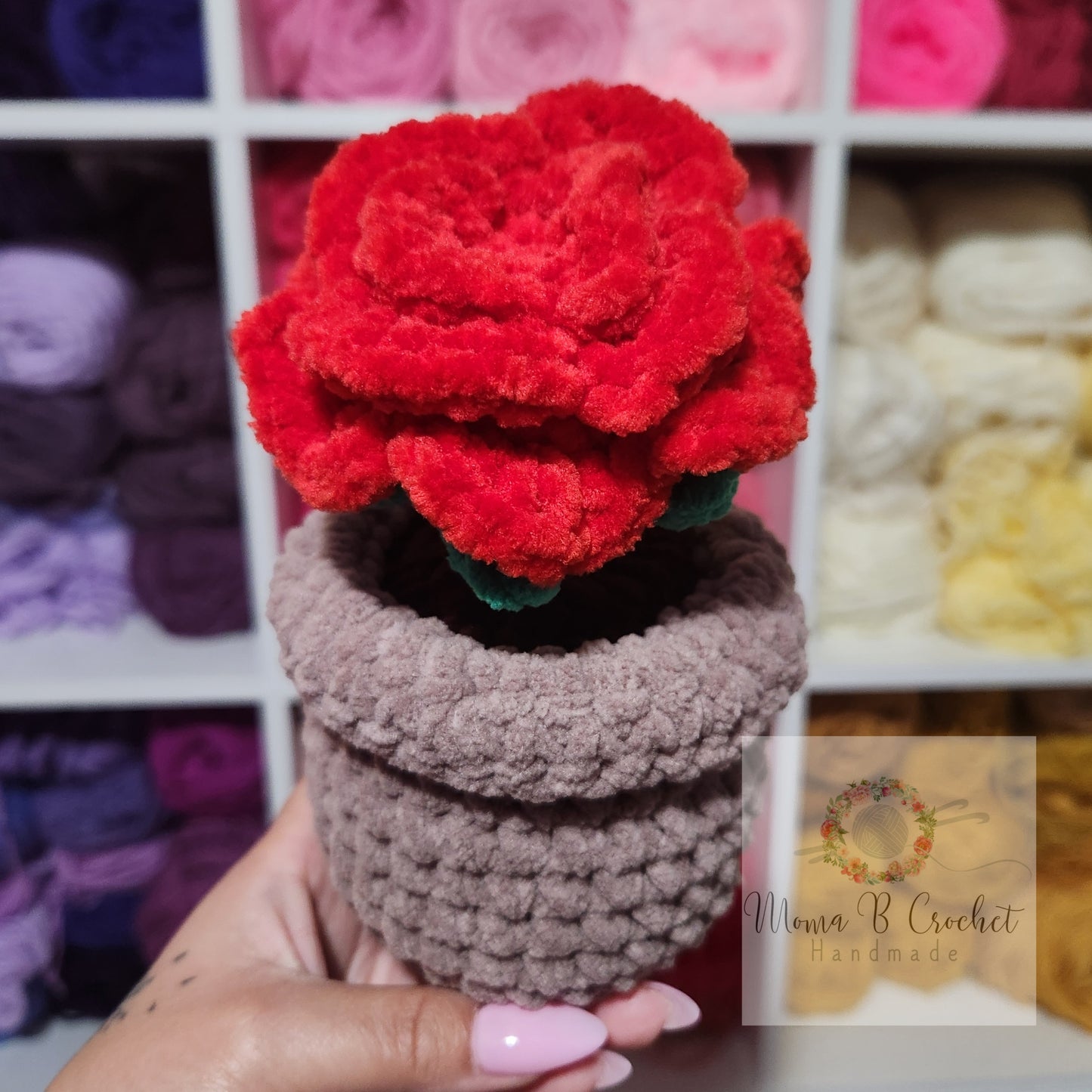 Potted Flower - Rose
